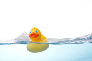 Moby Duck, come una flotta di papere di plastica ci ha insegnato qualcosa