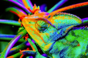I 10 COLORI PIÙ USATI NELLA COMUNICAZIONE: COME CI INFLUENZANO NELLE SCELTE